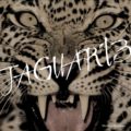 Jaguar 13吉他谱 Pdf谱 电吉他 Solo 独奏 春畑道哉 春畑道哉 はるはたみちや Michiya Haruhata Jaguar 13吉他谱 Pdf谱 电吉他 Solo 独奏 春畑道哉 春畑道哉 はるはたみちや Michiya Haruhata