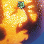 A   Picture of Nectar