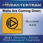 Walls Are Coming Down [Performance Tracks]