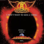 I Don't Want to Miss a Thing