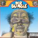 Mr. Bungle