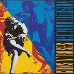 Use Your Illusion