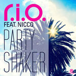 Party Shaker
