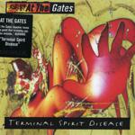 Terminal Spirit Disease