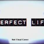 Perfect Life