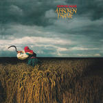 A Broken Frame