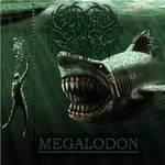 Megalodon