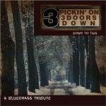Pickin' On 3 Doors Down: Down to This - A Bluegrass Tribute
