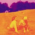 https://att.jitashe.org/data/attachment/xmimg/images/album/img56/13556/1104421385452900.jpg?x-oss-process=image/resize,limit_0,w_120,h_120,m_fill/quality,q_90