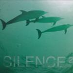 Silence 2