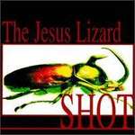 Shot