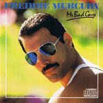 Mr. Bad Guy