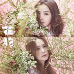 【反向合并】花约