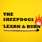 Learn & Burn