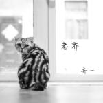 老齐(Mr Qi)