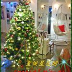 圣诞星花开(Special x'mas)