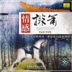 情感排箫