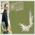 On Revolute