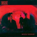 Muscle Museum