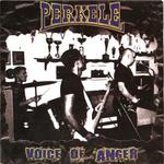 Voice Of Anger