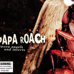 Between Angels and Insects