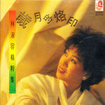 林淑容精粹集-岁月的烙印