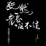 既然青春留不住，还是做个大叔好   演唱会巡回影音纪录(李宗盛越过山丘Live Tour 全纪录)