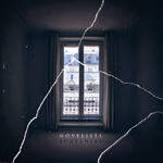 The Lichtenberg Figure