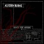 Trace The Artery