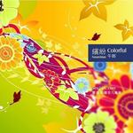 缤纷(Colorful)