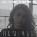 Scars To Your Beautiful