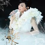 2013镜花水月演唱会Live