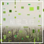秘密飞行
