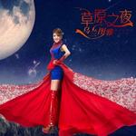 草原之夜