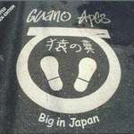 Big In Japan