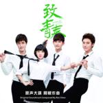 致青春 电视原声带