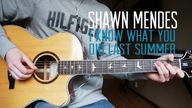 Shawn Mendes - I Know What You Did Last Summer - 吉他翻弹 | Mattias Krantz