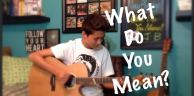 What Do You Mean? - Justin Bieber - 指弹吉他翻弹 - Andrew Foy