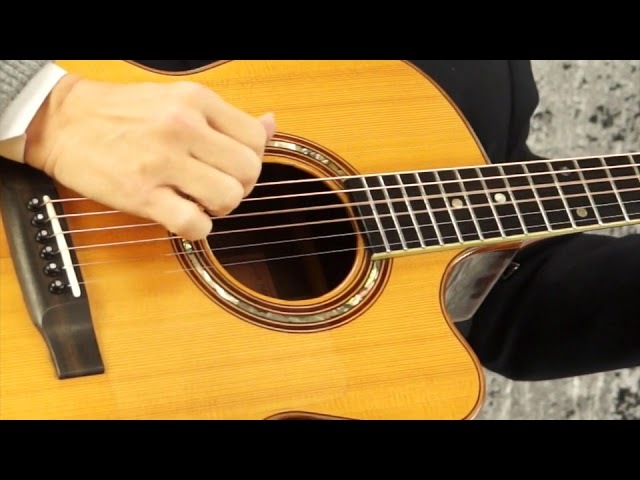 170787 linda manzer the manzer cutaway (1989) - 其他视频 - 吉他